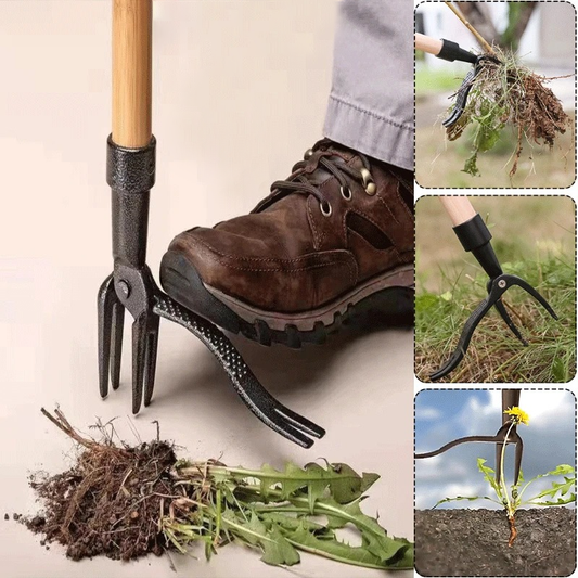 Piktžolių naikiklis