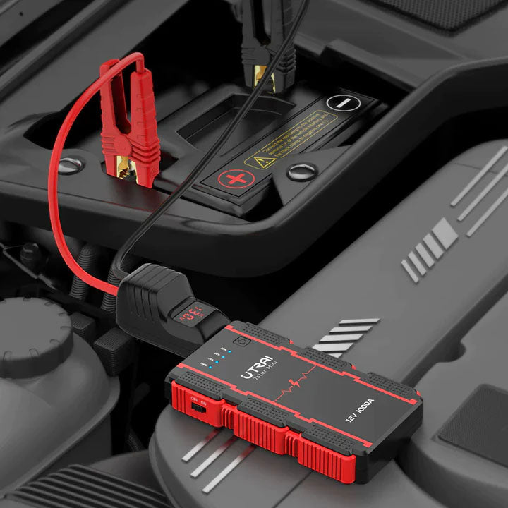 Daugiafunkcinis automobilio užvedėjas